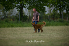 DSC_8243-2